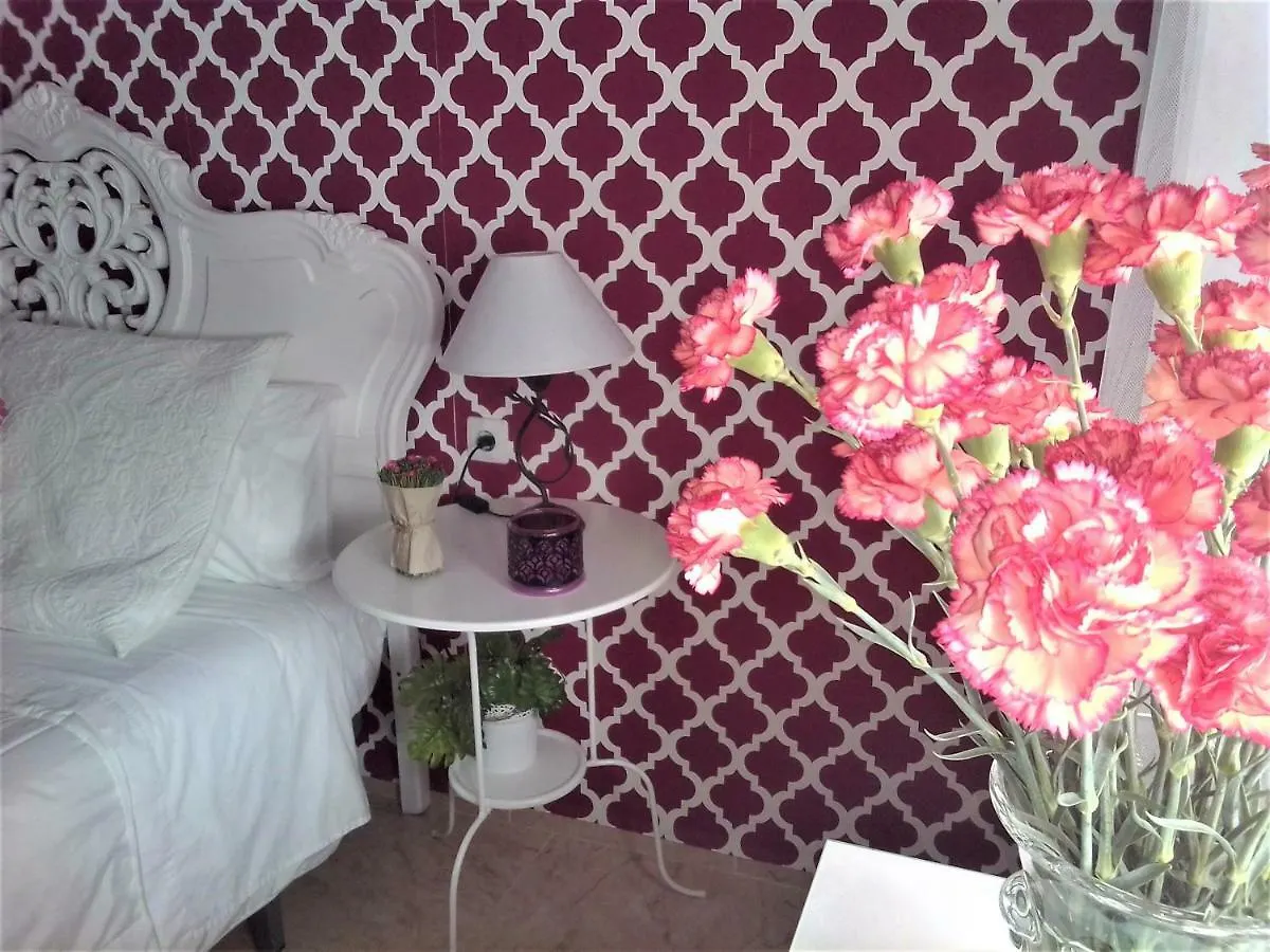 Vintage 2 dormitorios Córdoba Apartamento