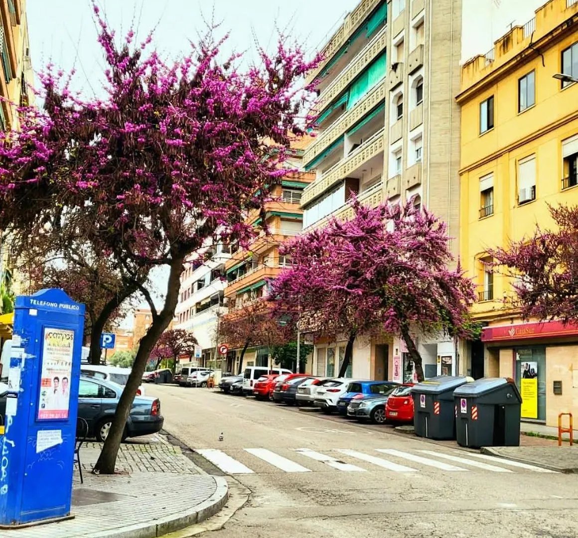 Vintage Apartment 0*, Cordoba Spain